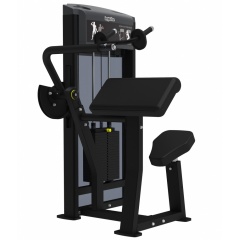 AeroFit IF9323 Разгибание рук из каталога грузоблочных тренажеров в Тольятти по цене 238430 ₽