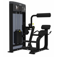 AeroFit IF9332 Разгибание спины из каталога грузоблочных тренажеров в Тольятти по цене 309100 ₽