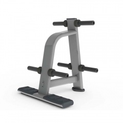 AeroFit Inotec E33 из каталога стоек для дисков (блинов) в Тольятти по цене 55024 ₽