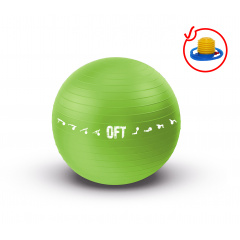Original FitTools 65 см. с насосом зеленый FT-GBPRO-65GN из каталога фитболов  в Тольятти по цене 1690 ₽