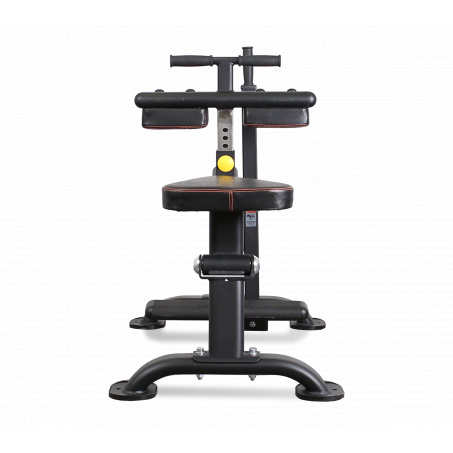 Рендер-7 для Bronze Gym GYM PL-1719