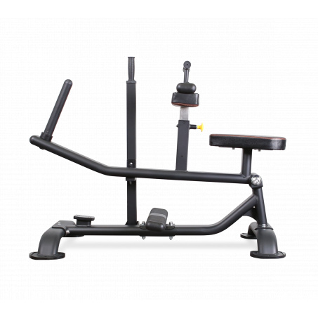 Рендер-1 для Bronze Gym GYM PL-1719