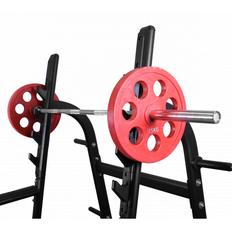 Рендер-1 для Bronze Gym BR-1015