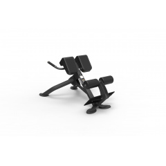 Spirit SP-4220 из каталога гиперэкстензий в Тольятти по цене 101700 ₽
