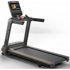 Matrix Lifestyle Touch из каталога беговых дорожек в Тольятти по цене 1576750 ₽