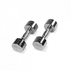 Bronze Gym 6 кг. BG-PA-DB-C06 из каталога хромированных гантелей в Тольятти по цене 2390 ₽