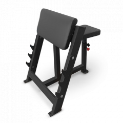 Bronze Gym AL-303 из каталога скамей Скотта в Тольятти по цене 49890 ₽