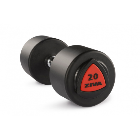 Рендер-0 для Ziva 38 кг.  ZVO-DBPU-1025