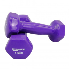 Protrain 1.5 кг. HC4005-1,5 из каталога виниловых гантелей в Тольятти по цене 970 ₽