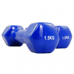 Protrain TA-2103-1,5 (пара) из каталога виниловых гантелей в Тольятти по цене 1210 ₽