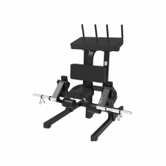 UltraGym UG-714 из каталога тренажеров на свободных весах в Тольятти по цене 127080 ₽