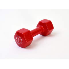 Original FitTools 5 кг (Цвет - красный) из каталога виниловых гантелей в Тольятти по цене 1790 ₽