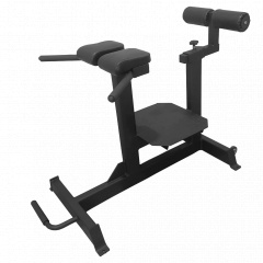 Bronze Gym AL-920 из каталога гиперэкстензий в Тольятти по цене 43180 ₽
