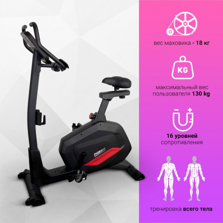 Рендер-11 для Everyfit BX7P