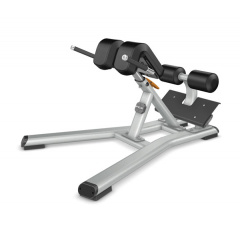 Precor Discovery Line DBR312 из каталога гиперэкстензий в Тольятти по цене 268000 ₽