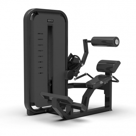 Рендер-0 для Bronze Gym Might 23 Разгибание спины