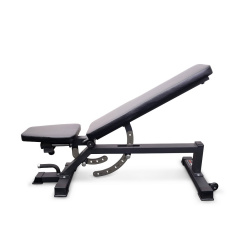Protrain TC011 из каталога силовых скамей в Тольятти по цене 48450 ₽