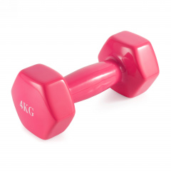 VictoryFit 4 кг. 1 шт.VF-DV040 из каталога виниловых гантелей в Тольятти по цене 1310 ₽