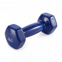VictoryFit 2 кг. 1 шт. VF-DV020 из каталога виниловых гантелей в Тольятти по цене 660 ₽