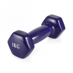 VictoryFit 1 кг. 1 шт. VF-DV010 из каталога виниловых гантелей в Тольятти по цене 330 ₽