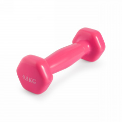 VictoryFit 0,5 кг. 1 шт. VF-DV005 из каталога виниловых гантелей в Тольятти по цене 320 ₽