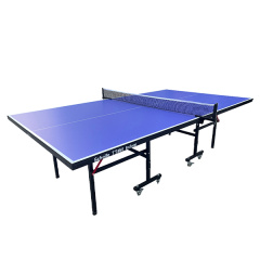 TT450 Indoor в Тольятти по цене 28490 ₽ в категории теннисные столы Scholle