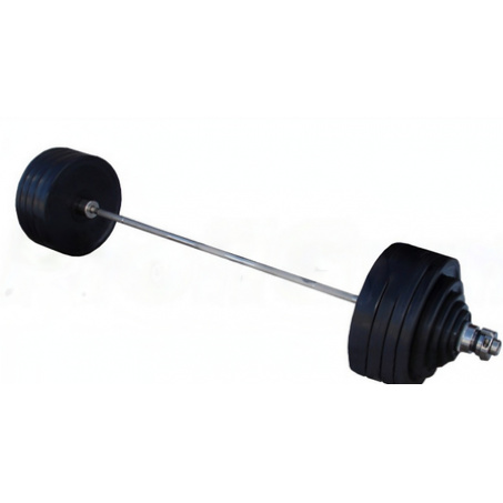 Рендер-0 для ProfyGym ШП-004 рекордная олимпийская 282.5 в наборе