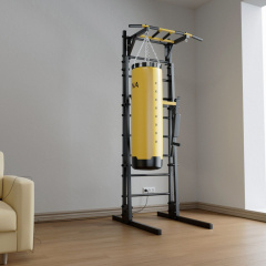 New Age GR2 Premium line в Тольятти по цене 59690 ₽ в категории шведские стенки BarFits