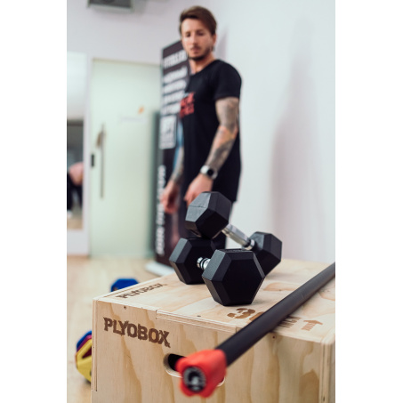 Рендер-4 для Original FitTools 22,5 кг гексагональная FT-HEX-22,5