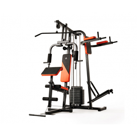 Мультистанция DFC HomeGym D7002-60 стек 60 кг