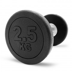 UnixFit PRO круглая 2,5 кг DBRND2_5PBK из каталога обрезиненных гантелей в Тольятти по цене 1090 ₽