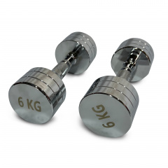 UnixFit PRO круглая 6 кг DBRND6PCE из каталога хромированных гантелей в Тольятти по цене 2810 ₽