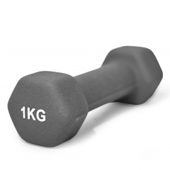 UnixFit 1 кг Grey DBNEO1GY из каталога неопреновых  гантелей в Тольятти по цене 510 ₽
