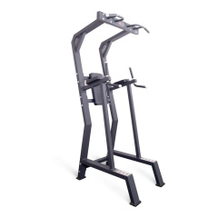Protrain HC5019 из каталога стоек турник брусья-пресс в Тольятти по цене 111150 ₽