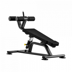 Bronze Gym RAVE RE51 из каталога скамей для пресса в Тольятти по цене 106990 ₽