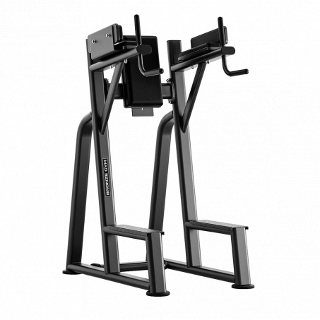 Рендер-0 для Bronze Gym RAVE RE59