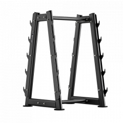 Bronze Gym RAVE RE66 из каталога стоек для грифов в Тольятти по цене 119990 ₽
