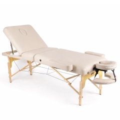 DFC PROFI3 TS312H складной из каталога массажных столов в Тольятти по цене 33990 ₽