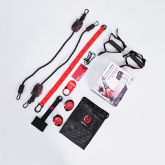 HYROPE HyGear Gear 1 из каталога комплексов для кроссфита и функционального тренинга в Тольятти по цене 11990 ₽