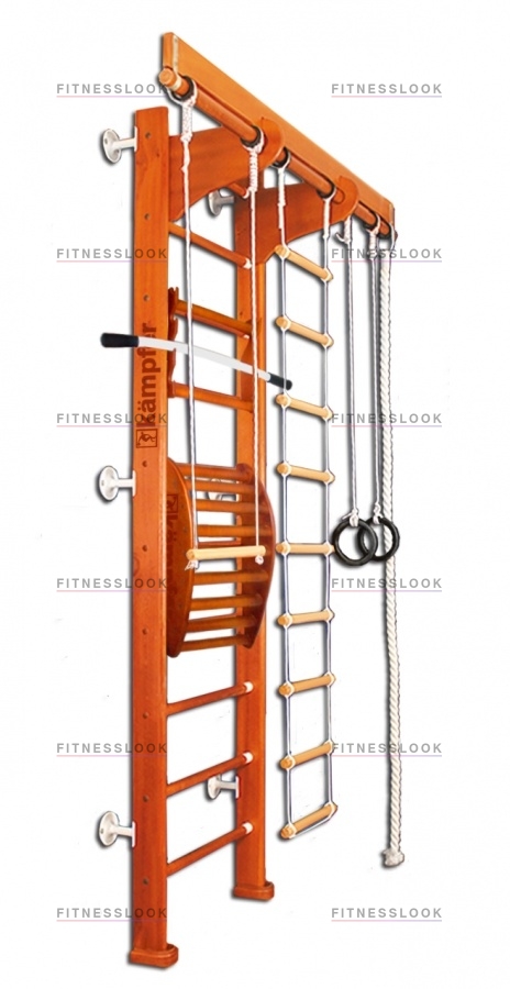 Wooden ladder Maxi wall в Тольятти по цене 31300 ₽ в категории тренажеры Kampfer