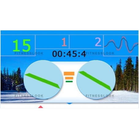 Рендер-1 для Pro Ski Simulator Professional