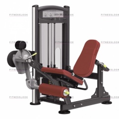 AeroFit IT9305 - разгибание ног из каталога грузоблочных тренажеров в Тольятти по цене 179950 ₽