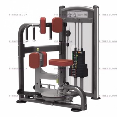 AeroFit IT9318 - вращение торса из каталога грузоблочных тренажеров в Тольятти по цене 194990 ₽