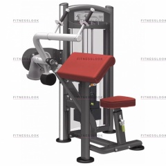 AeroFit IT9323 - трицепс разгибание рук из каталога грузоблочных тренажеров в Тольятти по цене 146120 ₽
