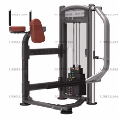 AeroFit IT9326 - ягодичные мышцы из каталога грузоблочных тренажеров в Тольятти по цене 132350 ₽