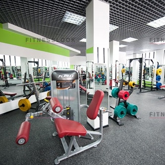 AeroFit Plamax PL9019 - сгибание/разгибание ног вес стека, кг - 113