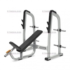 Precor DBR410 - со стойками из каталога скамей со стойкой в Тольятти по цене 162470 ₽