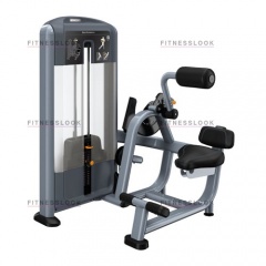 Precor DSL313 - разгибание спины из каталога грузоблочных тренажеров в Тольятти по цене 523215 ₽