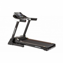 Prisma в Тольятти по цене 73990 ₽ в категории беговые дорожки Laufstein