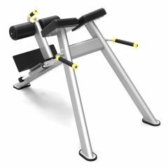 Protrain 61A43 из каталога гиперэкстензий в Тольятти по цене 74040 ₽